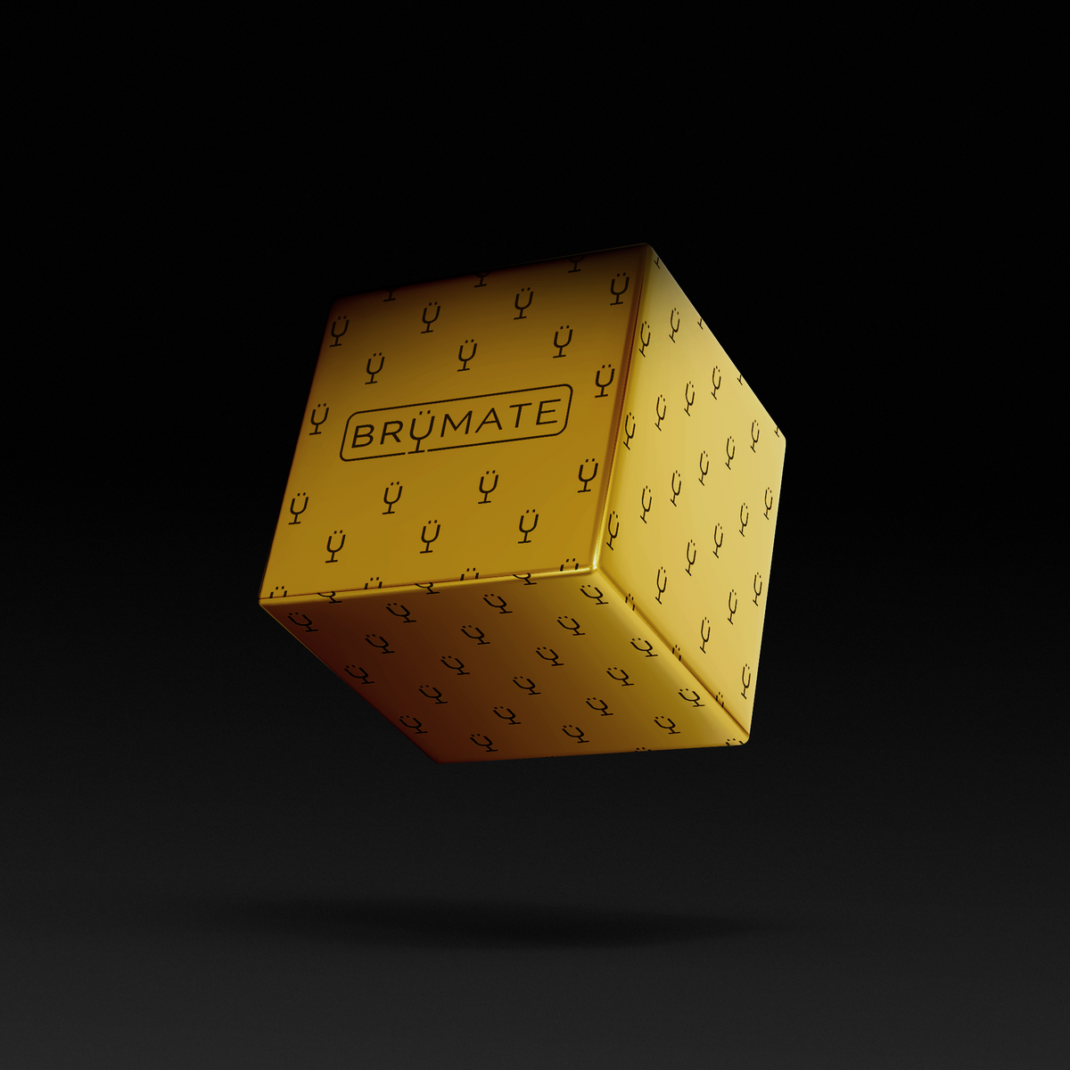 premium-mystery-item-39-70-value-e7 IMG-1548.png
